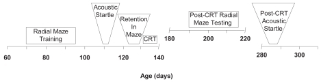 Figure 1 Experimental time-line depicting ages (days) at which each phase of the experiment was conducted.