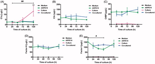 Figure 9. Luminex analysis of complement components (C1q, C3, C4BP, CFH, and CFI) in conditioned media from post-confluent ARPE cells (green line) and cultured retinas (pink line) as well as co-cultured retinas (blue line), cultured for 0–5 days. Cell culture medium (black line) was also included; none of the investigated complement components was found in this medium. C1q secretion from retinal cultures cultured for 5 days (A) was higher than that from ARPE cells cultured alone or ARPE cells co-cultured with porcine retinas. C3 was secreted from ARPE cells and from co-cultures (B). The regulators C4BP (C), CFH (D), and CFI (E) were all secreted from the ARPE cells and the co-cultures, but none of the regulators was secreted in any major amount from the cultured control retinas. There was a temporal decrease in the CFI secretion after 3 days (E) when compared to the co-cultured specimens. Data are expressed as means ± SEM; *P < 0.05; **P < 0.01; n = 4.