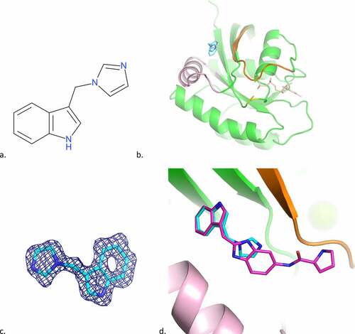 Figure 2. Cpd1 binding mode to KRAS G12C GDP.a) 2D structure of cpd1b Overall binding mode of cpd1. b) The ligand is in cyan. The protein overall structure is in green with switch I (as defined by [Citation40]) in orange, switch II in pink; the GDP is also depicted (in light orange) to the right of Cys12 (coloured yellow),c) Final 2FoFc-sigmaa weighted map around the ligand, contoured at 1σ,d) Superimposition of the 4EPY ligand (in magenta). .