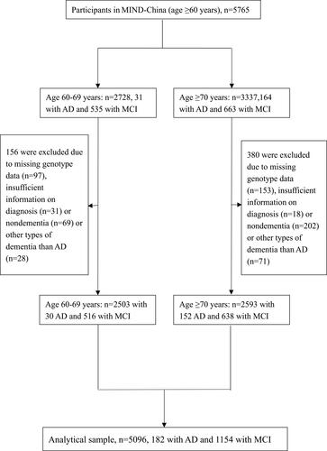 Figure 1 Flowchart of the study participants.