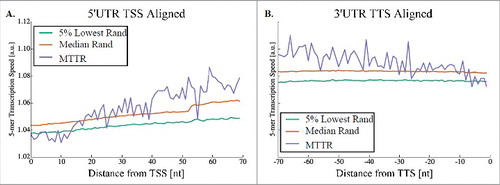 Figure 4. Transcription elongation speed profile in S. cerevisiae. (A) Transcription elongation speed profile of 5′UTRs where all genes were aligned to the TSS. (B) Transcription elongation speed profile of 3′UTRs where all genes were aligned to the TTS (Transcription Termination Site). Percentiles of 1,000 random genomes are in green (5%) and orange (50%).