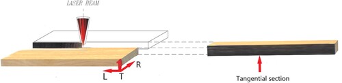 Figure 1. CO2-laser cutting process on beech wood (L- longitudinal, R- Radial and T- Tangential direction).