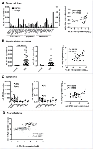 Figure 6. Relative mRNA expression of c-Myc/ N-Myc and B7-H6 correlates in different tumor cell lines and samples of primary tumors. Relative B7-H6 and c-Myc/N-myc mRNA expression in tumor cell lines (A) and samples of normal and tumor tissues (B, C, D). (A–C) Expression as quantified by qRT-PCR. The mean (expression of B7-H6 relative to GAPDH and c-Myc relative to actin) +/− SEM is depicted. The statistical significance determined by Mann–Whitney test with *p <0.05 is indicated. Right panels: correlations between relative B7-H6 and c-Myc mRNA expression of samples analyzed in the left and middle panels are depicted. Mean (log10-transformed expression relative to GAPDH or β-actin) is shown for each sample. The statistical significance and r squared as determined by Pearson correlation is shown. (A) Tumor cell lines: solid tumors (n = 11), lymphoma (n = 7) and leukemia (n = 9) (B) Hepatocellular carcinoma (HCC): normal liver (n = 3) and HCC (n = 27) (C) Lymphoma: normal lymph nodes (n = 3) and spleens (n = 3), diffuse large B-cell lymphoma (DLBCL, n = 16), follicular lymphoma (FL, n = 10), mantle cell lymphoma (MCL, n = 4), marginal zone lymphoma (MZL, n = 3), lymphoplasmacytic lymphoma (LPL, n = 2) and small lymphocytic lymphoma (SLL, n = 2). #1 = sample of patient 1, #2 = sample of patient 2. (D) Neuroblastoma: patients with N-Myc amplification (black squares, n = 92), patients without N-Myc amplification (gray squares, n = 401). Relative expression as derived from RNA-seq analysis. The statistical significance and r squared as determined by Pearson correlation is shown.