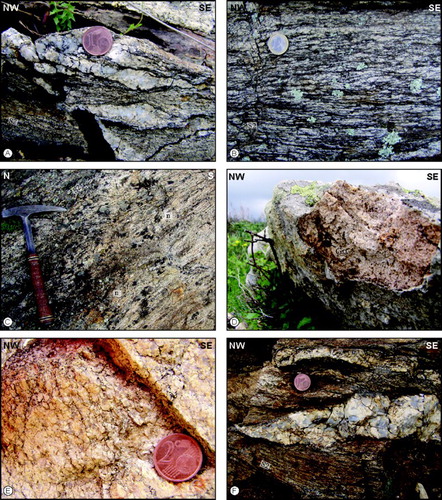 Figure 2. Migmatites from the HGMC in the northern metamorphic complex. (a) Metatexite with thin restitic layers around cm-thick leucosome; (b) Typical metatexite; (c) migmatitic showing nebulitic texture (n); (d) garnet-bearing orthogneiss (Grt: garnet); (e) aplitic monzogranite in Tarra Padedda area. It is interpreted as the precursor of the post-Variscan batholith; (f) pegmatitic vein cross cutting the S2 foliation. S2: S2 foliation.