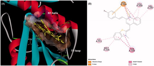 Figure 7. (A) Quinolinium derivative (A2) was predited to bind into the C-terminal interdomain cleft of FtsZ; (B) predicted interactions between A2 and the amino acids of FtsZ.