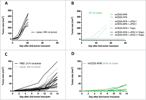 Figure 7. Tumor-targeted AcTaferon therapy provides immunity. (A) Growth of s.c. inoculated B16-mCD20+ tumors in naive C57BL/6J mice. (B) Growth of B16-mCD20+ tumors inoculated on the contralateral flank on day 35 in mice where complete eradication of the primary tumor was achieved thanks to specific treatments (day 7–17) indicated in the figure legend. Tumor growth was evaluated for 60 days after the second tumor inoculation. (C) Growth of s.c. inoculated B16-mCD20+ tumors in naive C57BL/6J mice, or in mice where the primary tumor was treated with PBS (day 5–10). (D) Growth of B16-mCD20+ tumors inoculated on the contralateral flank on day 12 in mice that received p.l. treatment for their primary tumor with mCD20-AFN on days 5–10. The experiment was ended 14 days after the second tumor inoculation (26 days after the primary tumor inoculation). Tumor growth of individual mice are plotted, the number of mice that remained tumor-free for the duration of the experiment (60 days for A-B and 14 days for C-D) is indicated in each figure.