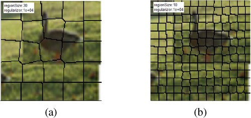 Figure 6. Segmented image with region size 10 (left) and region size 20 (right).