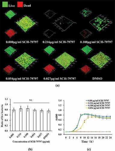Figure 4. Bacteria live/dead staining and growth curve. (a) Live/ dead bacteria staining of S. mutans biofilm. Live bacteria were stained green and dead were stained red. Bar = 50 μm; (b) Ratio of live bacteria within biofilm according to live/dead bacteria staining results; (c) 24 h growth curve of S. mutans under different concentration of SCH-79797. Data were expressed as mean ± standard deviation, NS means no significant difference (P > 0.05).