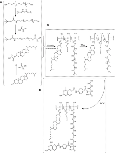 Figure 1 Synthesis of folate-poly (PEG-cyanoacrylate-co-cholesteryl cyanoacrylate) (FA-PEG-PCHL).