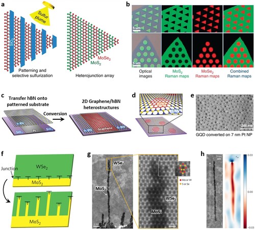 Figure 5. Post-synthetic conversion process to achieve lateral 2D heterostructures. (a, b) Position-controlled conversion of 2D materials for the growth of lateral MoS2-MoS2 heterostructures [Citation49]. (a) Patterning and selective conversion of 2D materials using SiO2 masking layers for MoSe2-MoS2 heterostructures. (b) Raman mappings of MoS2-MoSe2 lateral heterojunction arrays formed within monolayer crystals by patterning and selective conversion processes. (c-e) Spatially controlled conversion process from hBN to graphene [Citation52, Citation53]. (c) Schematic illustrations for the conversion process of hBN on Pt substrate to produce 2D lateral heterostructure of graphene-hBN [Citation52]. (d, e) Schematic (d) and SEM image (e) of graphene quantum dots embedded in the hBN matrix, grown by the selective conversion on an array of the Pt nanoparticles. [Citation53]. (f) Schematic of the patterning process guided by misfit dislocations (marked as ‘T’) at the MoS2-WSe2 lateral heterojunction. (g) STEM images of MoS2 1D channels embedded within WSe2. (h) STEM image (left) and strain map (right) of a MoS2 1D channel formed from an intrinsic 5|7 dislocation in WSe2 [Citation55].