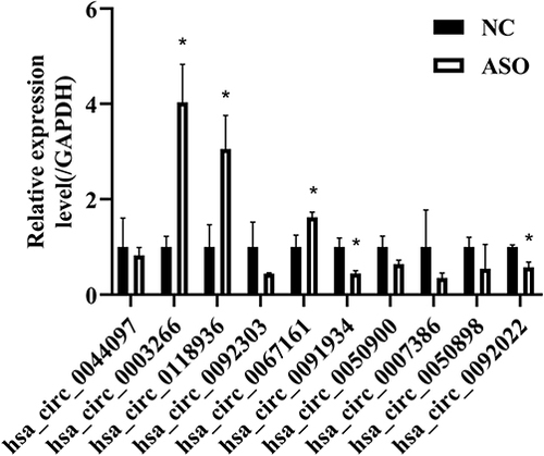 Figure 5 Validation of microarray assay results by RT-qPCR of 10 selected circRNAs (the top 5 upregulated and 5 downregulated circRNAs, raw density of the normal group ≥200).