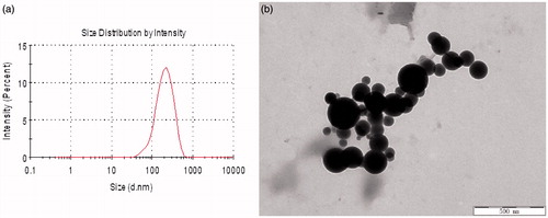 Figure 6. Particle size distribution (a) and TEM photograph of hm-BSP-C18 nanoparticles (b).