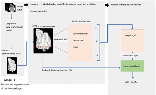 Figure 1 Fully automated hybrid model for HE prediction. In Model 2, we use feature-level fusion approaches for fusion of features with the AIM of collecting complementary information from radiomics, clinical data.