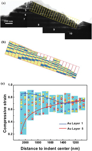 Figure 3. (a) TEM cross-sectional image of a typical deformation region beneath the indent of the 50 nm Cu–Au NLCs, (b) schematic illustration of the layer thickness measurement in different DZ based on the TEM cross-sectional observation in (a), (c) compressive strain of each layer along the normal direction of the layers vs. the distance of the DZ to the indent center. The light blue columns show the range of variation of the data points at the different distances to the indent center.