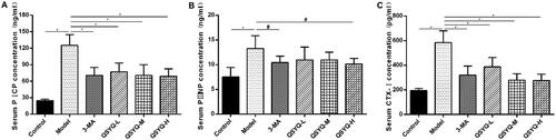 Figure 2. Effect of QSYQ on myocardial collagen metabolism in rats. (A) The level of serum PICP in rats (ng/ml). (B) The level of serum PIIIN in rats (ng/ml). (C) The level of serum CTX-I in rats (pg/ml). *p < 0.01, #p < 0.05.