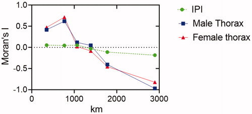Figure 2. Correlograms for IPI (green), male (blue) and female (red) thorax size. Gradient of the lines demonstrates the overall trend from positive to negative for all three parameters, indicating the likelihood of spatial patterning.