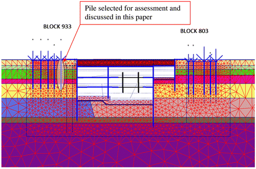 Figure 9. Finite element meshes showing the pile foundation arrangement adjacent to a deep excavation (encircled closest pile considered in this study).