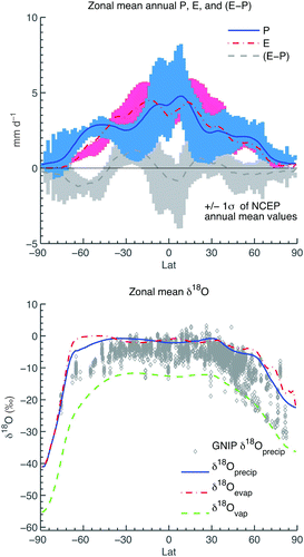 Fig. 4 Zonal mean fluxes of moisture and isotopes. Zonal annual mean precipitation (solid blue line), evaporation (red dashed-dotted line) and E-P (dark grey dashed line) in the UVic model, superimposed on the range of the NCEP zonal annual mean values ±1σ observed in precipitation (blue bars), evaporation as calculated from NCEP latent heat fluxes (pink bars) and E-P (light grey bars) (top panel) and zonal annual mean δ18O in precipitation (solid blue line), evaporation (red dashed-dotted line) and atmospheric water vapour (green dashed line) (bottom panel) in the model, superimposed on all available annual mean precipitation δ18O observations in GNIP data (grey diamonds), separated into 1/4 degree latitude bins. NCEP reanalysis data are from Kalnay et al. (Citation1996); GNIP δ18O data are provided by IAEA (Citation2006). Figure based on Fig. 12 in Lee et al. (Citation2007) and Fig. 1 in Zhou et al. (Citation2008).