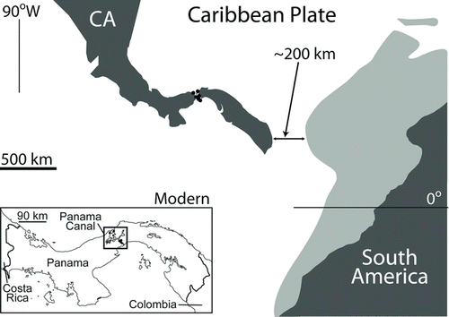 FIGURE 1 Fossil crocodylian localities (black circles) in the Panama Canal Zone, Panama, as represented by both a paleomap (modified from CitationMontes et al., 2012) and modern political map.