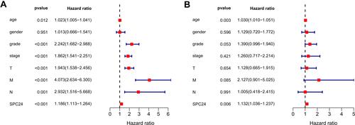 Figure 4 Univariate Cox regression and multivariate Cox regression analysis. Forest plot based on univariate (A) and multivariate (B) Cox regression analysis of OS in TCGA database.