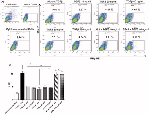 Figure 3. IFNγ production by human T-cells differentiated in presence of IL-1β, IL-6, and IL-23 – with or without TGFβ as well. (A) Flow cytometric analysis of intracellular expression of IFNγ by TH17 cells derived from CD4+ T-cells. (B) Mean expression levels (±SEM) from five independent experiments (i.e. PBMC from five different donors) using various culture conditions (i.e. different TGFβ concentration and inhibitors of TGFβ signaling pathways) are shown. ns: Non-significant (*p < 0.05).