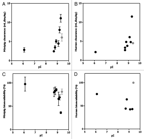Figure 4 Correlation between pI and clearance in minipig (A) and human (B), and SC bioavailability in minipig (C) and human (D) of various monoclonal antibodies. Solid dots represent the reported mean parameter values while vertical error bars represent the standard errors of estimate. For (A), mAb2 is excluded. Grey dots represent mAb5 (outlier) whereas black dots represent all other mAbs.