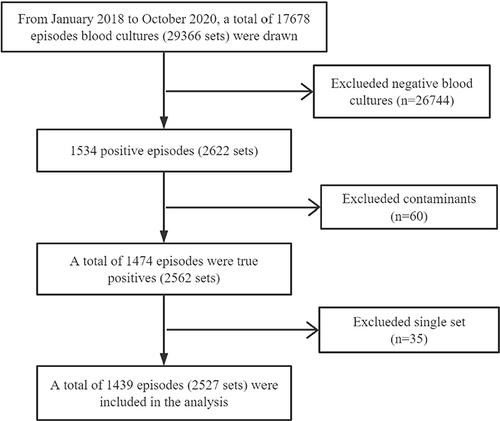 Figure 2 Study flowchart.