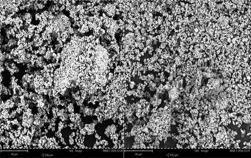 Figure 1. SEM images of the synthesized ZnO nanoparticles.