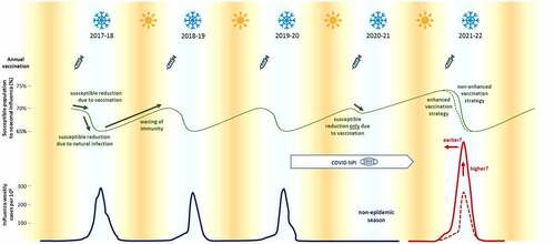 Figure 2. Historical and projected impact of influenza vaccinations on influenza during the 2021–2022 season. Mask-wearing and other COVID-19 mitigation measures reduced influenza infections to negligible levels in 2020–2021. Without enhanced vaccination efforts, influenza infections may double (solid red line) over typical levels (dotted red line). Reprinted from Sanz-Munoz 2021.Citation28