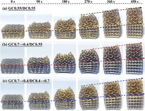 Figure 17. Recovered process of 4D-printed heterogenous structures with different C values, (a) GC0.55/DC0.55, (b) GC0.7→0.4/DC0.55, (c) GC0.7→0.4/DC0.4→0.7.