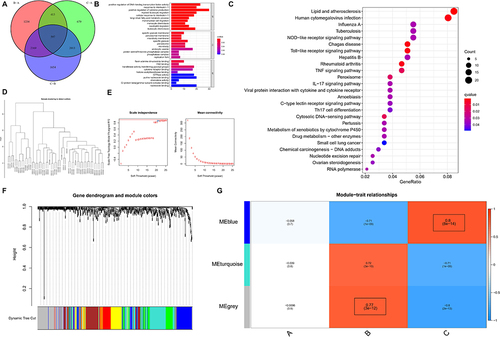 Figure 8 DEGs in the three pyroptosis modification patterns and functional analysis. (A) Pyroptosis-associated DEGs (n=597); (B) GO terms of the DEGs; (C) GO terms of the DEGs from Biological Process (BP); (D) WGCNA for DEGs with P<0.05; (E) Scale-free topology model ft index and the mean connectivity under different thresholds; (F) Gene dendrogram and module colors; (G) Heatmap of the module-trait relationships.