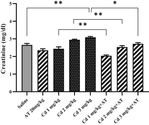 Figure 5. Effects of AT on creatinine in rat kidney tissues exposed to CdCl2. Administration of CdCl2 (3 mg/kg), induced significant increase in creatinine level compared to the rats treated with saline and AT pretreatment significantly decreased creatinine and the effect of CdCl2 (1, 2 and 3 mg/kg) . Results are presented as mean ± S.E.M (n = 7) 0.1018. *P < .02, **P < .01.