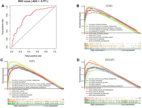 Figure 10 (A) ROC analysis of 3 Hub genes in TCGA-LIHC database. The Enrichment plots from GSEA analysis of Hub genes in the TCGA-LIHC dataset. (B) CCNB1. (C) OIP5. (D) RACGAP1.