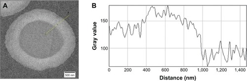 Figure 1 Transmission electron micrograph of plain gas-filled microbubble (A). Pixel gray values (B) are measured along the yellow line. Note that the hard shell is from 400 to 800 nm, while the soft shell is from 800 to 1,000 nm.