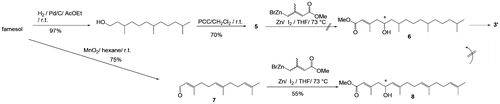 Scheme 2. Preliminary process for the five-carbon-unit extension.