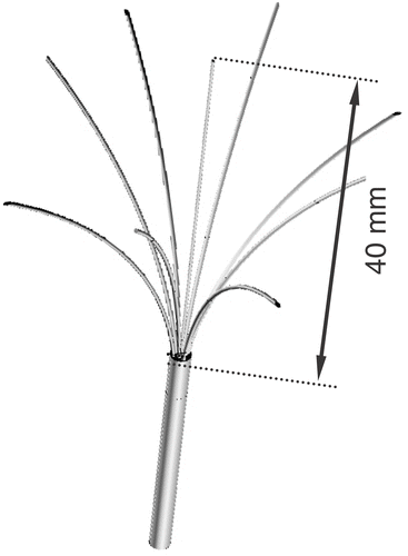 Figure 1. Multi-prong electrode (Rita Starburst XL).