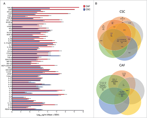 Figure 4. Comparative analysis of 50 different cytokines in CSC and CAF secretome (A) Levels of 50 different cytokines in 48 hrs supernatants of CSC and CAF by the Luminex platform. (B) Cytokine grouping in 6 CRC and 5 CAF samples as represented by Venn diagrams.