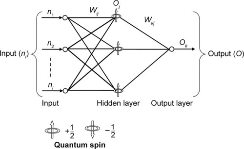 Figure 2 Architecture of quantum neural network.