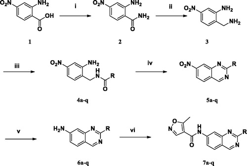 Scheme 1. Syntheses of 1H-quinazolyl isoxazole-4-carboxamide derivatives. (i) EDC, HOBt, TEA, NH3 in MeOH, rt; (ii) BH3-THF, reflux; (iii) benzoyl chloride, CH2Cl2, 0 oC→ rt; (iv) (1) HCl/H2O/AcOH, μW, 150 oC, 10 min; (2) p-chloranil, toluene, reflux; (v) Fe, AcOH/H2O/EtOH, 60 oC; (vi) 5-methylisoxazole-4-carbonyl chloride, TEA, THF, rt.