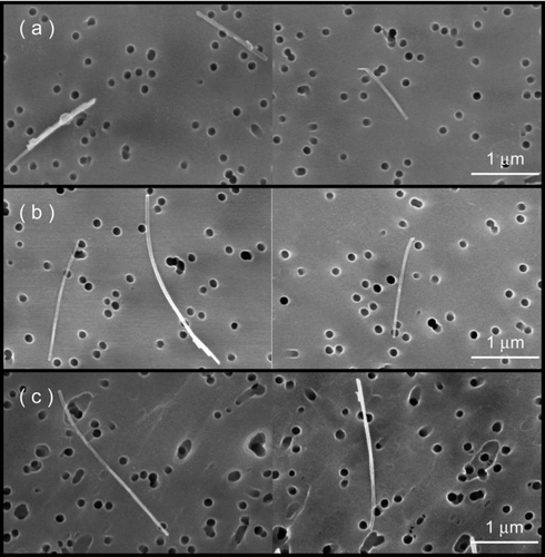 FIG. 5 Scanning electron micrographs of DMA-classified particles with the mobility diameters of (a) 100, (b) 200, and (c) 300 nm.