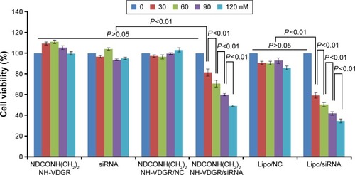 Figure 13 Viability of MCF-7 cells after treatment with different concentrations of NDCONH(CH2)2NH-VDGR, survivin-siRNA, NDCONH(CH2)2NH-VDGR/NC, NDCONH(CH2)2NH-VDGR/survivin-siRNA, Lipo/NC, and Lipo/survivin-siRNA for 48 h. Data are presented as the average ± SD (n=3).Abbreviations: siRNA, small interfering RNA; NC, normal control; SD, standard deviation.