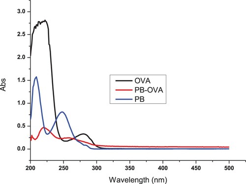 Figure 2. The UV spectra characterisation for PB, PB-OVA, and OVA.