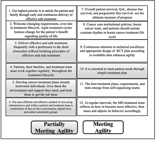 Figure 2 Breast Cancer Treatment Agile Principles.