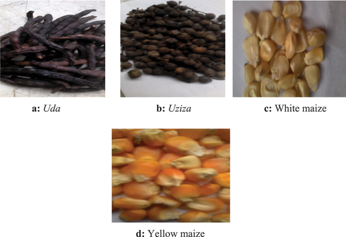 Figure 1. a. Uda, b.Uziza, c. White maize, d. Yellow maize.