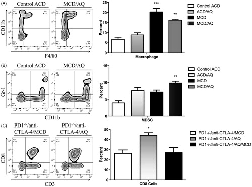 Figure 3. Flow cytometric analysis of liver mononuclear leukocytes. A representative zebra plot and average of three animals is shown. Mononuclear cells with significant differences among the treatment groups compared with control are displayed (when the difference was not significant the data are shown in Supplemental Figures 1 and 2). Wild-type C57BL/6 mice in four groups: Control ACD, ACD/AQ, Control MCD, and MCD/AQ. PD1−/− mice in three groups: PD1−/−/anti-CTLA-4/MCD, PD1−/−/anti-CTLA-4/AQ, and PD1−/−/anti-CTLA-4/AQ/MCD. Group identities fully defined in Figure 1 legend. (A) Significantly increased percentage of macrophages in the MCD/AQ group compared with the Control group. (B) Significantly increased percentage of MDSCs in the MCD/AQ group compared with the Control group. (C) Significantly increased percentage of CD8 T cells in the PD1−/−/anti-CTLA-4/AQ group compared with the PD1−/−/anti-CTLA-4/MCD group. Values shown are means ± SE. Values significantly differ from one another at *p < 0.05, **p < 0.01, and ***p < 0.001 (analyzed using one-way ANOVA).