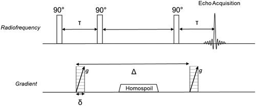 Figure 2. Stimulated echo (STE) pulse sequence with inclusion of magnetic field gradients to spatially encode the NMR frequency of each 1H. A homospoil gradient is required to prevent recombination of any remaining coherent transverse magnetization during signal acquisition.