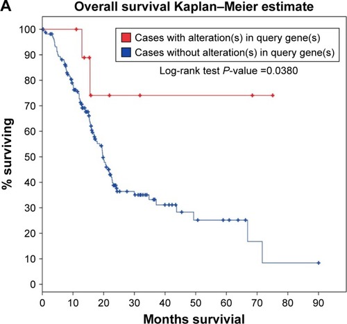 Figure 8 Survival analysis evaluating the prognostic value of MALAT1 in PC.