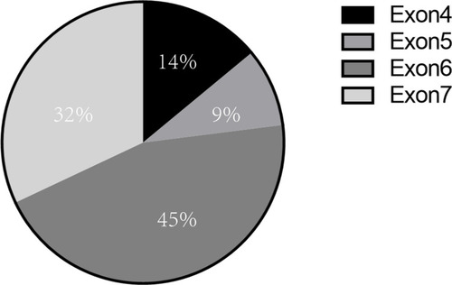 Figure 3 Distribution of GATA2 germline mutation sites in MonoMAC syndrome. Various site of GATA germline mutation had been reported, mostly in exon 6 (45%) and exon7 (32%), and some in exon 4 (14%) and exon 5 (9%).