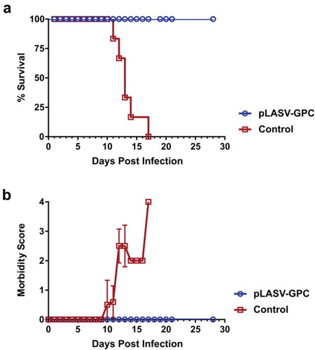 Figure 2. Protective efficacy of pLASV-GPC vaccine against lethal viral challenge in NHPs. pLASV-GPC DNA-immunized and non-immunized control NHPs (n of 6 each) were challenged with a lethal dose of LASV at four weeks post-final immunization. NHPs were monitored daily for survival (a) and clinical signs of disease (b).