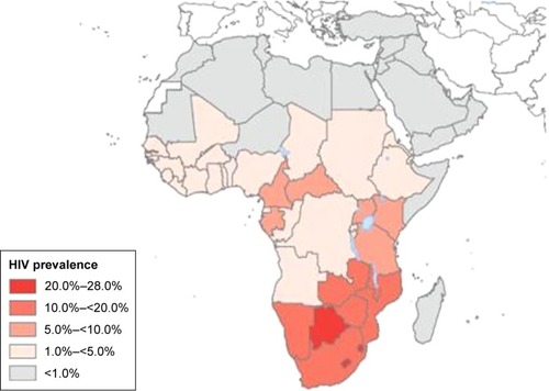 Figure 1 Global distribution of HIV in Africa in 2007.